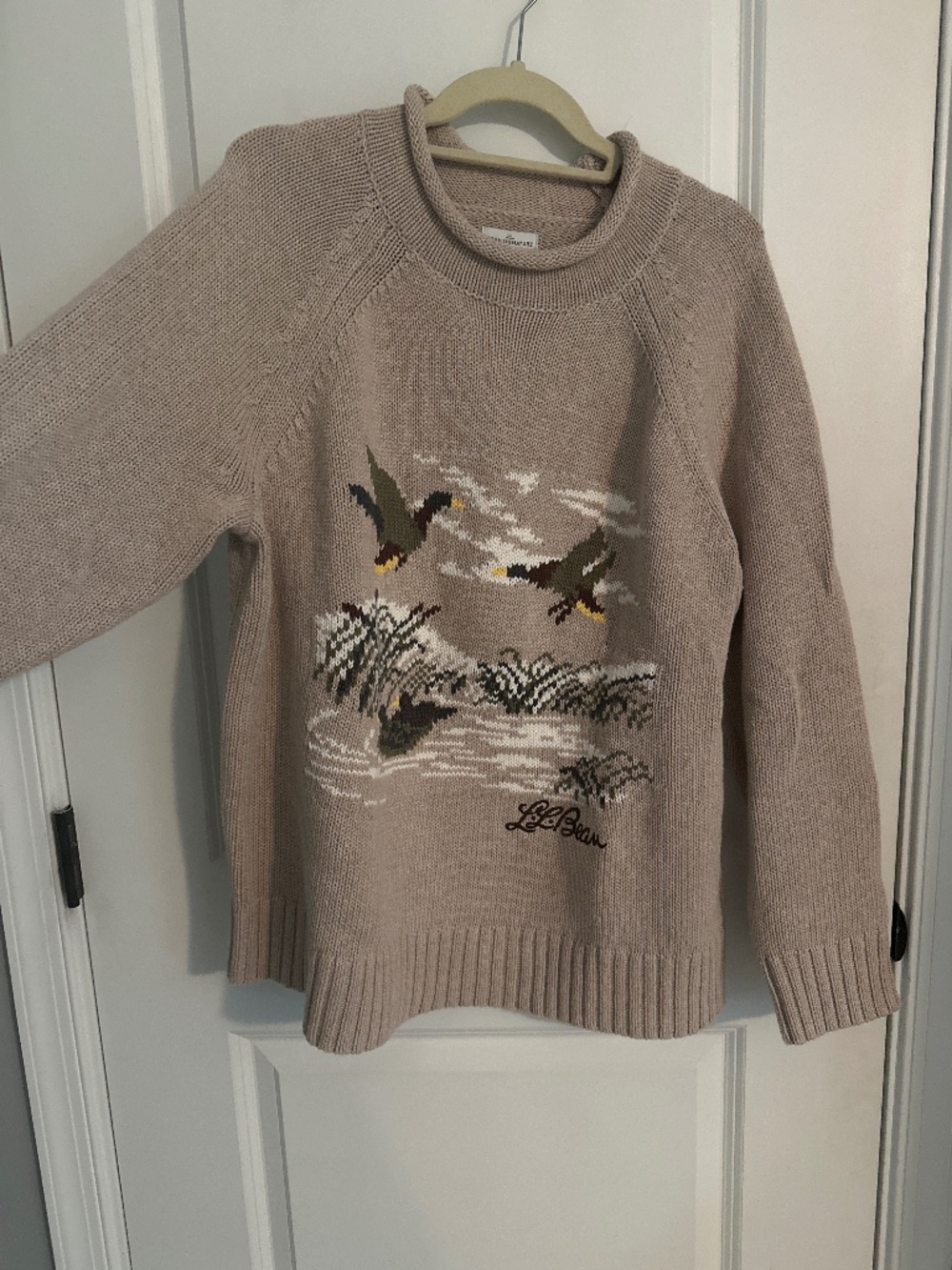 LL bean roll neck sweater